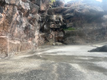 環境水族館アクアマリンふくしまに投稿された画像（2025/3/30）