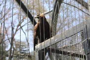 多摩動物公園に投稿された画像（2025/3/30）