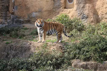多摩動物公園に投稿された画像（2025/3/30）
