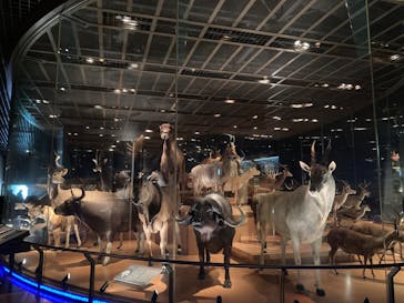 国立科学博物館に投稿された画像（2025/3/30）