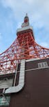 東京タワーに投稿された画像（2025/3/30）