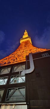 東京タワーに投稿された画像（2025/3/30）