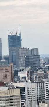 東京タワーに投稿された画像（2025/3/30）