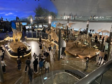 福井県立恐竜博物館に投稿された画像（2025/3/30）