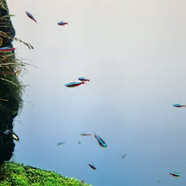 すみだ水族館に投稿された画像（2025/3/30）