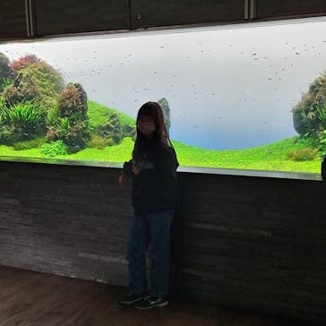 すみだ水族館に投稿された画像（2025/3/30）