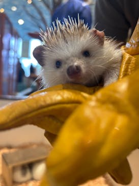 アニタッチPARKイオンモール太田に投稿された画像（2025/3/30）