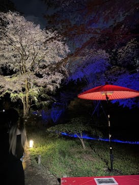 六義園に投稿された画像（2025/3/30）