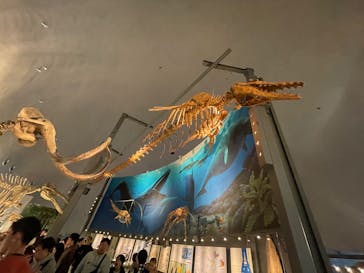 福井県立恐竜博物館に投稿された画像（2025/3/30）