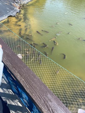 野外民族博物館 リトルワールドに投稿された画像（2025/3/30）