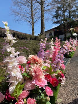 野外民族博物館 リトルワールドに投稿された画像（2025/3/30）