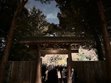 六義園に投稿された画像（2025/3/30）