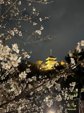 三溪園に投稿された画像（2025/3/30）