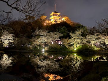 三溪園に投稿された画像（2025/3/30）