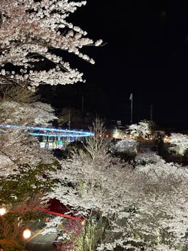 別府ケーブルラクテンチに投稿された画像（2025/3/30）