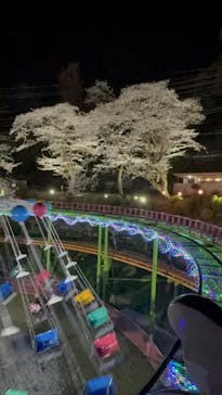 別府ケーブルラクテンチに投稿された画像（2025/3/30）