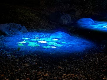 六義園に投稿された画像（2025/3/30）