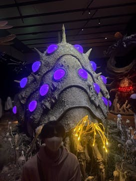 金曜ロードショーとジブリ展　三重展に投稿された画像（2025/3/30）