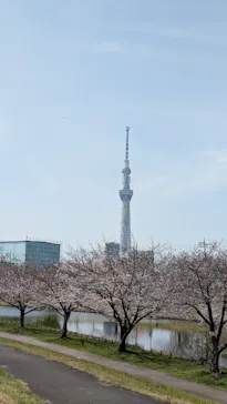 東京スカイツリーに投稿された画像（2025/3/30）