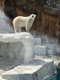 天王寺動物園に投稿された画像（2025/3/30）