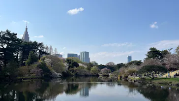 新宿御苑に投稿された画像（2025/3/30）