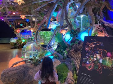 NARA IKIMONO MUSEUMに投稿された画像（2025/3/30）