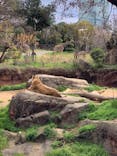 天王寺動物園に投稿された画像（2025/3/30）