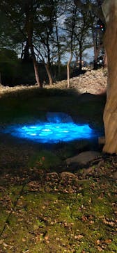 六義園に投稿された画像（2025/3/30）