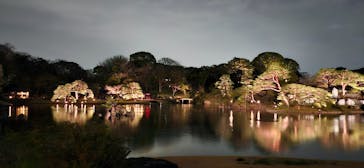 六義園に投稿された画像（2025/3/30）