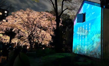 六義園に投稿された画像（2025/3/30）