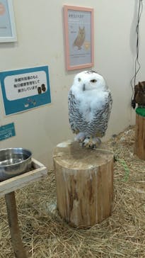 アニタッチみなとみらいに投稿された画像（2025/3/30）