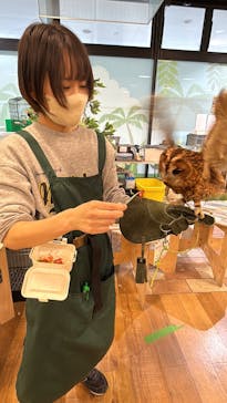 いきもの探検隊湘南に投稿された画像（2025/3/30）