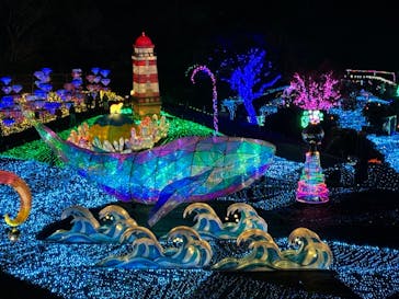 伊豆高原グランイルミに投稿された画像（2025/3/30）