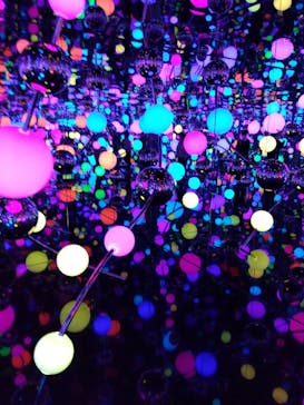 彫刻の森美術館に投稿された画像（2025/3/30）