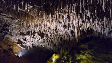 おきなわワールドに投稿された画像（2025/3/30）