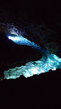 おきなわワールドに投稿された画像（2025/3/30）