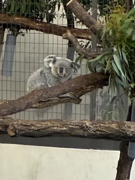 多摩動物公園に投稿された画像（2025/3/30）