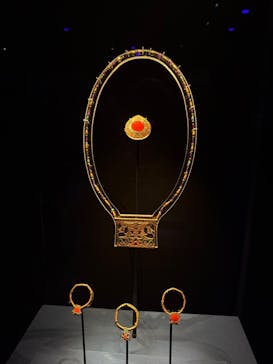 ACN ラムセス大王展 ファラオたちの黄金に投稿された画像（2025/3/30）