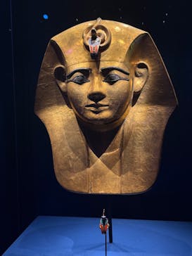 ACN ラムセス大王展 ファラオたちの黄金に投稿された画像（2025/3/30）