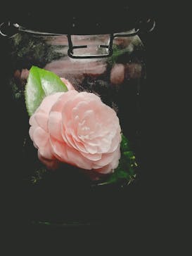 六義園に投稿された画像（2025/3/30）