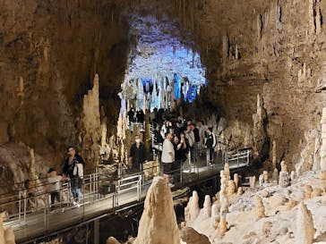 おきなわワールドに投稿された画像（2025/3/30）