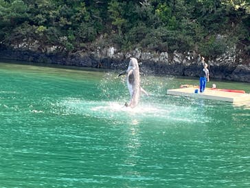 太地町立くじらの博物館に投稿された画像（2025/3/30）