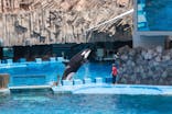 名古屋港水族館に投稿された画像（2025/3/30）