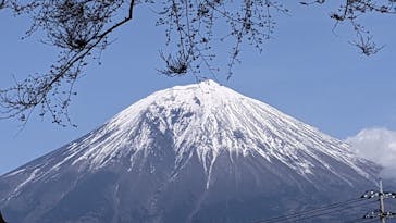 まかいの牧場に投稿された画像（2025/3/30）