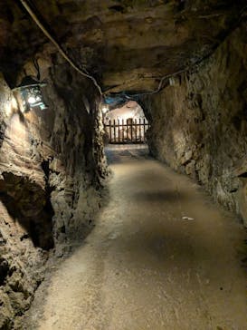 土肥金山に投稿された画像（2025/3/30）