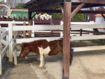 東武動物公園に投稿された画像（2025/3/30）