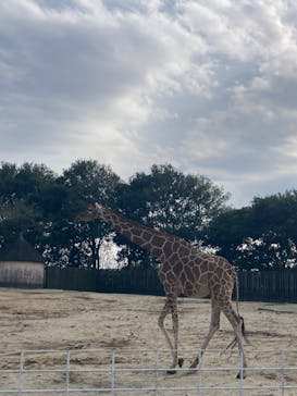 東武動物公園に投稿された画像（2025/3/30）