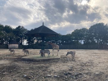 東武動物公園に投稿された画像（2025/3/30）
