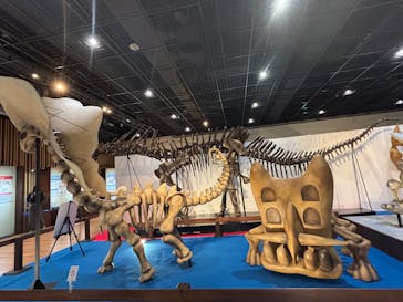 福井県立恐竜博物館に投稿された画像（2025/3/30）