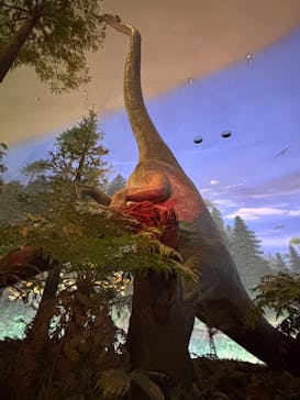 福井県立恐竜博物館に投稿された画像（2025/3/30）